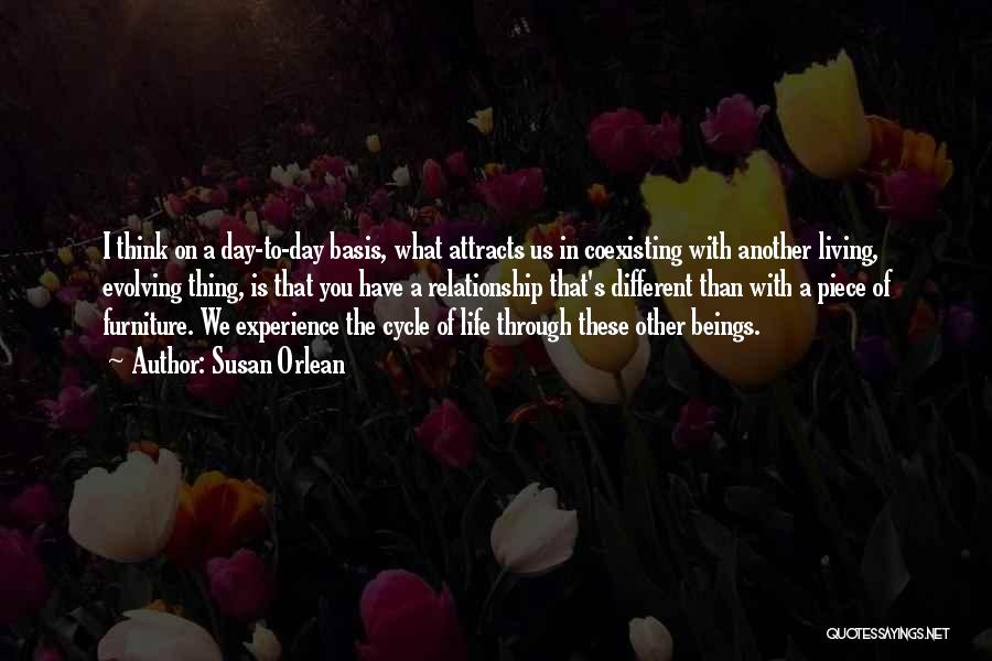 Thinking Of You Relationship Quotes By Susan Orlean