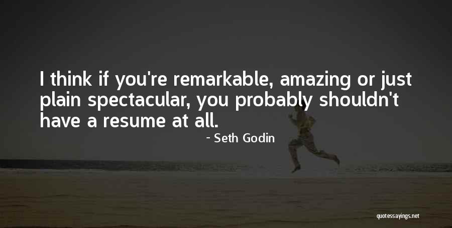 Thinking Someone Is Amazing Quotes By Seth Godin