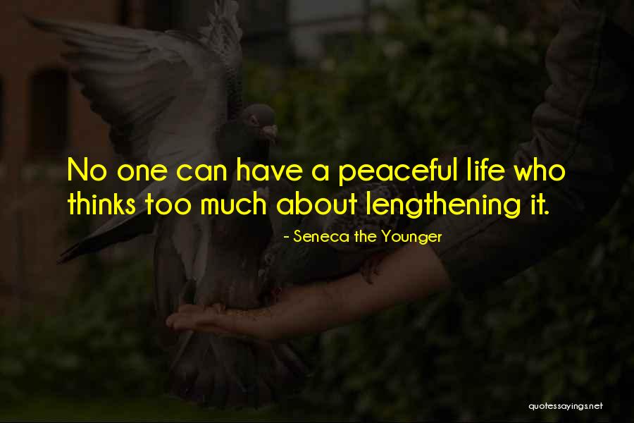 Thinking Too Much About Life Quotes By Seneca The Younger