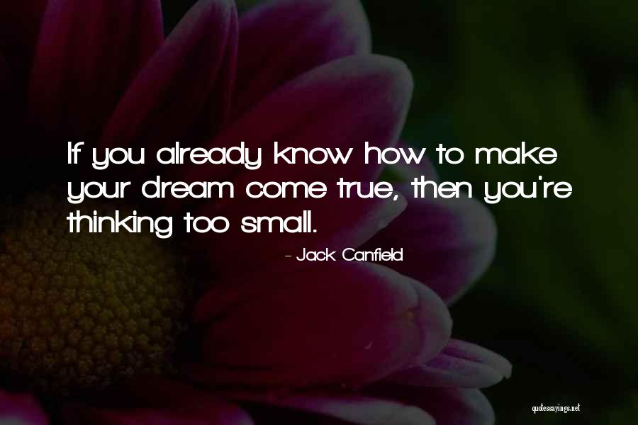 Thinking Too Small Quotes By Jack Canfield