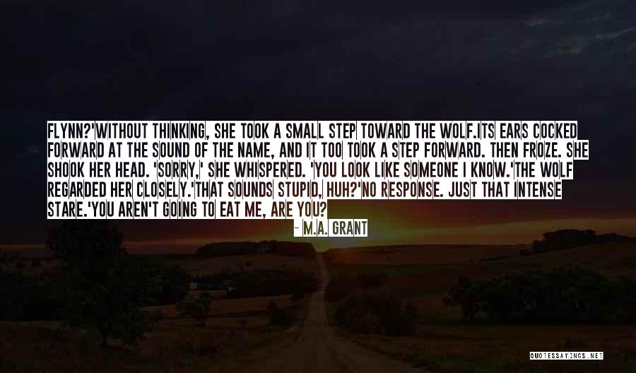 Thinking Too Small Quotes By M.A. Grant