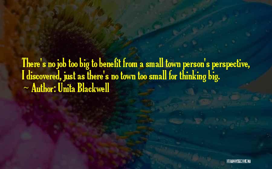 Thinking Too Small Quotes By Unita Blackwell