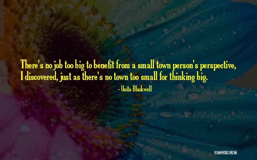 Thinking Too Small Quotes By Unita Blackwell