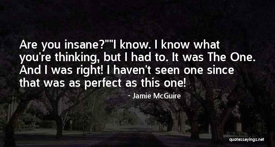 Thinking You Are Perfect Quotes By Jamie McGuire