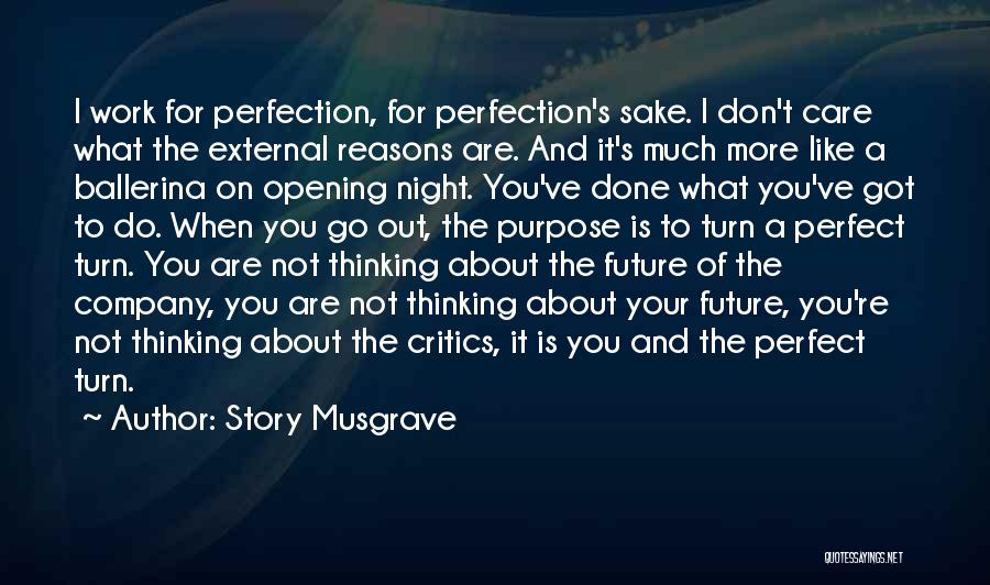 Thinking You Are Perfect Quotes By Story Musgrave