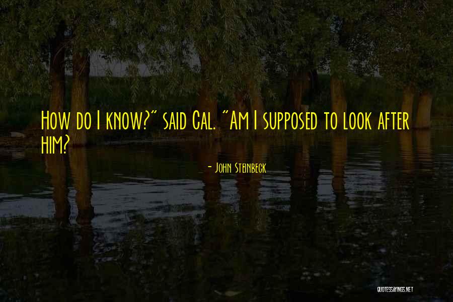 Thinkwell Math Quotes By John Steinbeck Thinkwell Math Quotes By John Steinbeck