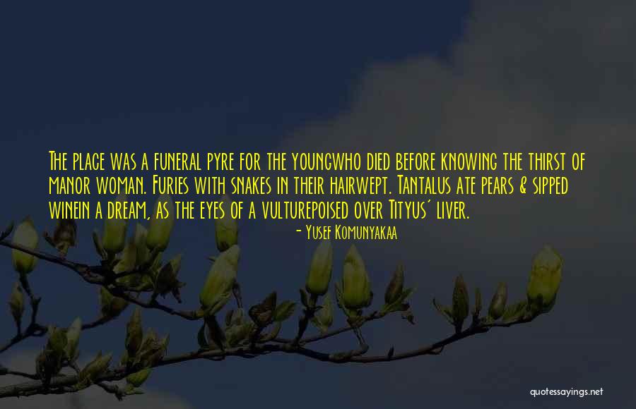 Thinkyeah Quotes By Yusef Komunyakaa Thinkyeah Quotes By Yusef Komunyakaa