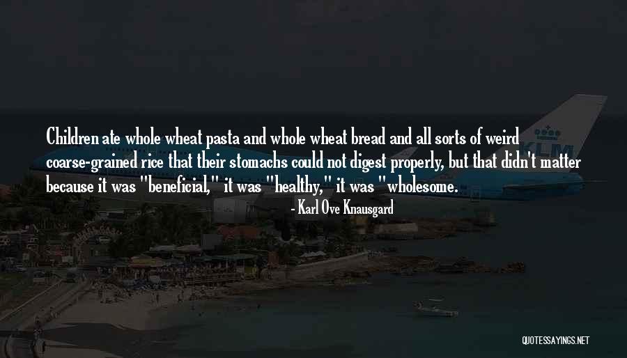 Thinline Saddle Quotes By Karl Ove Knausgard Thinline Saddle Quotes By Karl Ove Knausgard