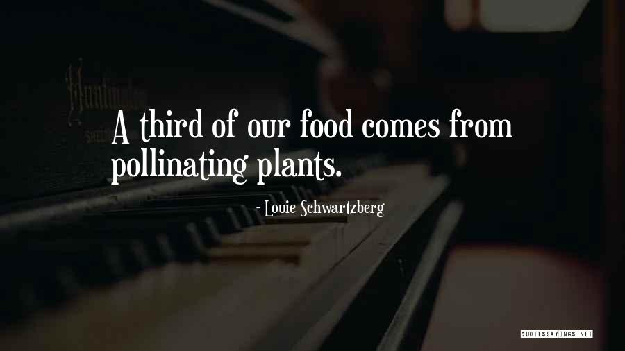 Thinus Stuhlinger Quotes By Louie Schwartzberg Thinus Stuhlinger Quotes By Louie Schwartzberg