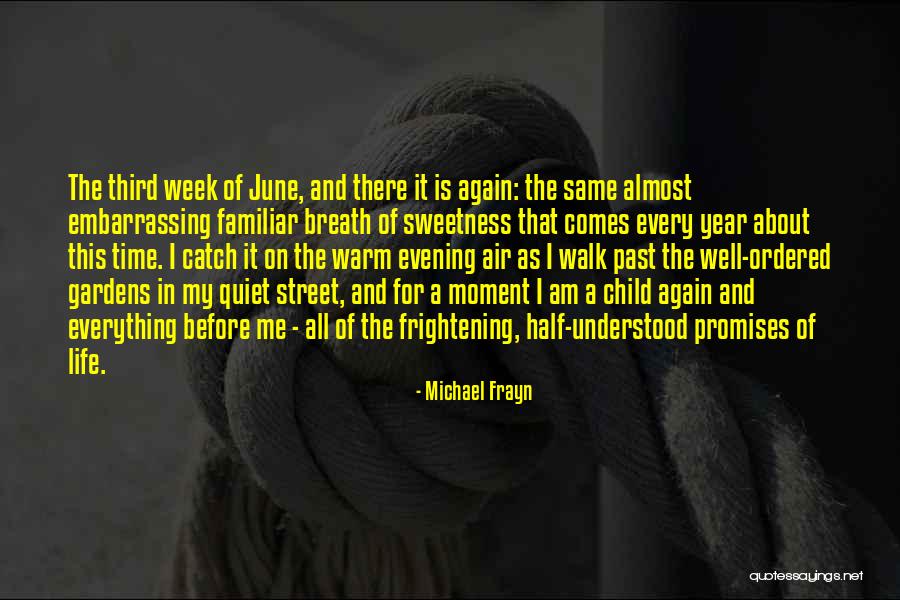 Third Child Quotes By Michael Frayn Third Child Quotes By Michael Frayn