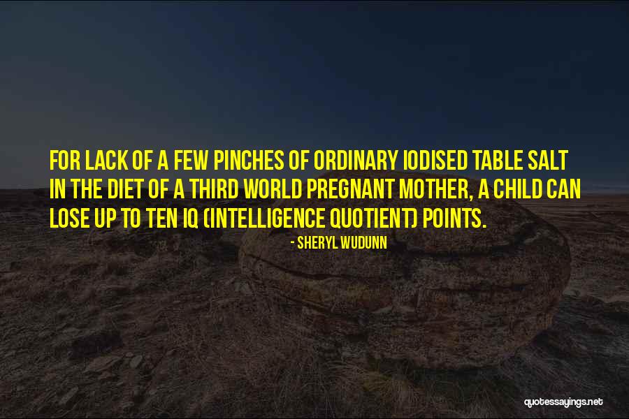 Third Child Quotes By Sheryl WuDunn Third Child Quotes By Sheryl WuDunn