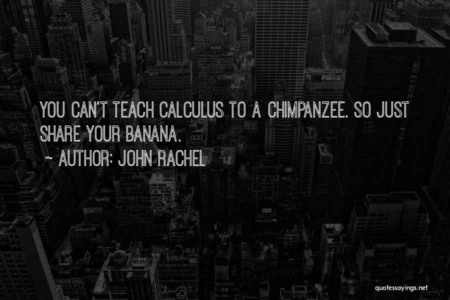 Third Chimpanzee Quotes By John Rachel