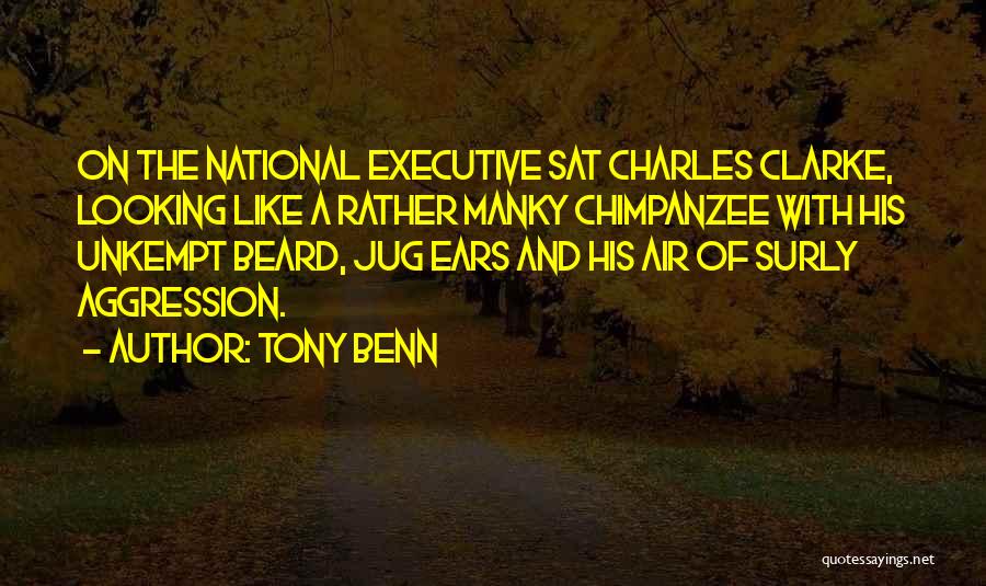 Third Chimpanzee Quotes By Tony Benn