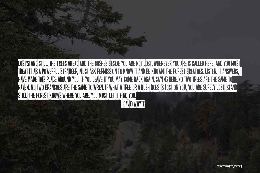 Third Class Mentality Quotes By David Whyte Third Class Mentality Quotes By David Whyte