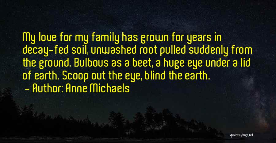 Third Eye Blind Love Quotes By Anne Michaels