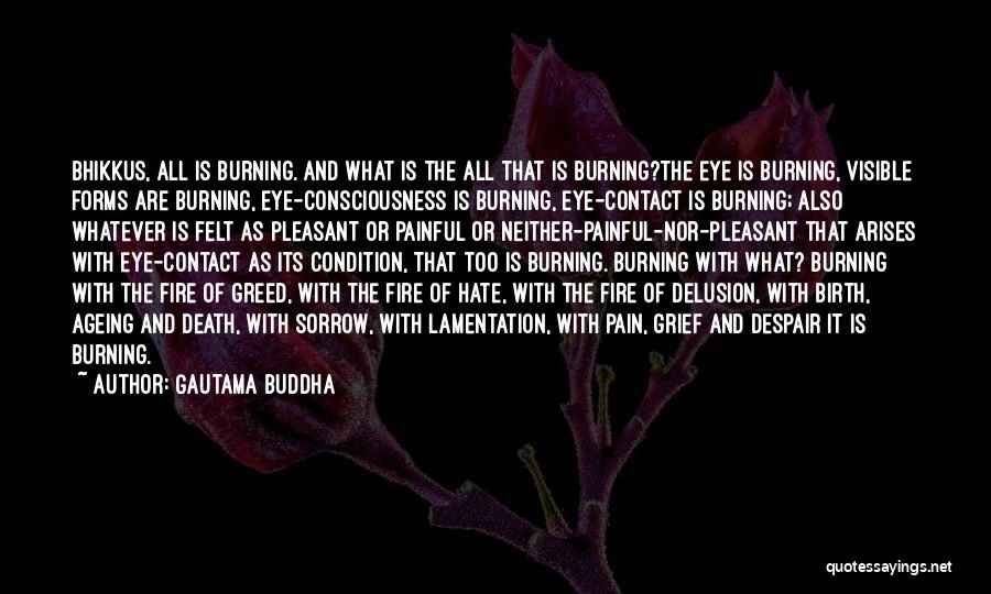 Third Eye Enlightenment Quotes By Gautama Buddha