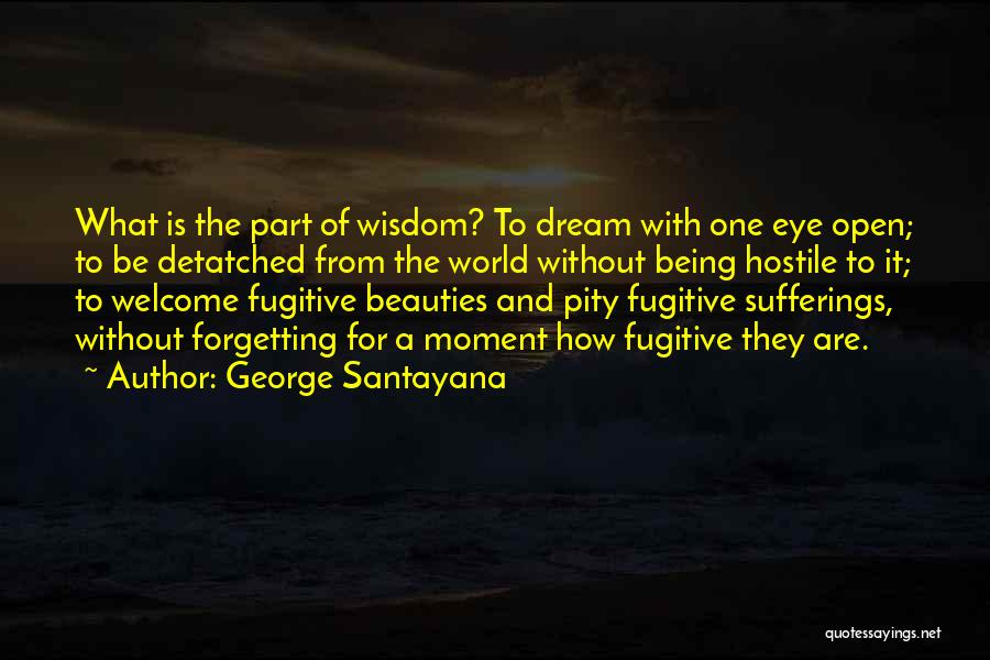 Third Eye Wisdom Quotes By George Santayana