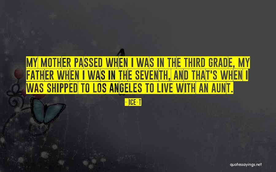 Third Grade Quotes By Ice-T Third Grade Quotes By Ice-T