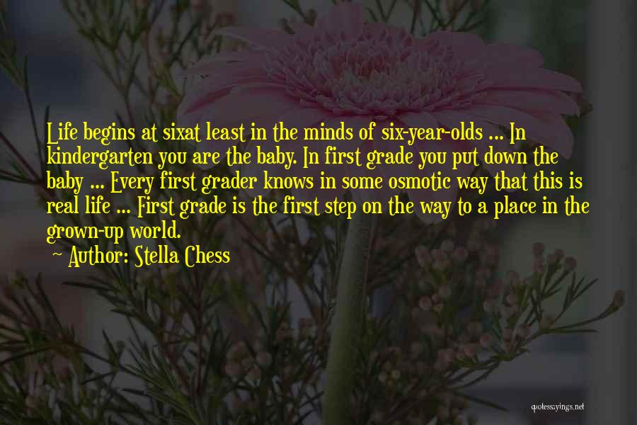 Third Grader Quotes By Stella Chess