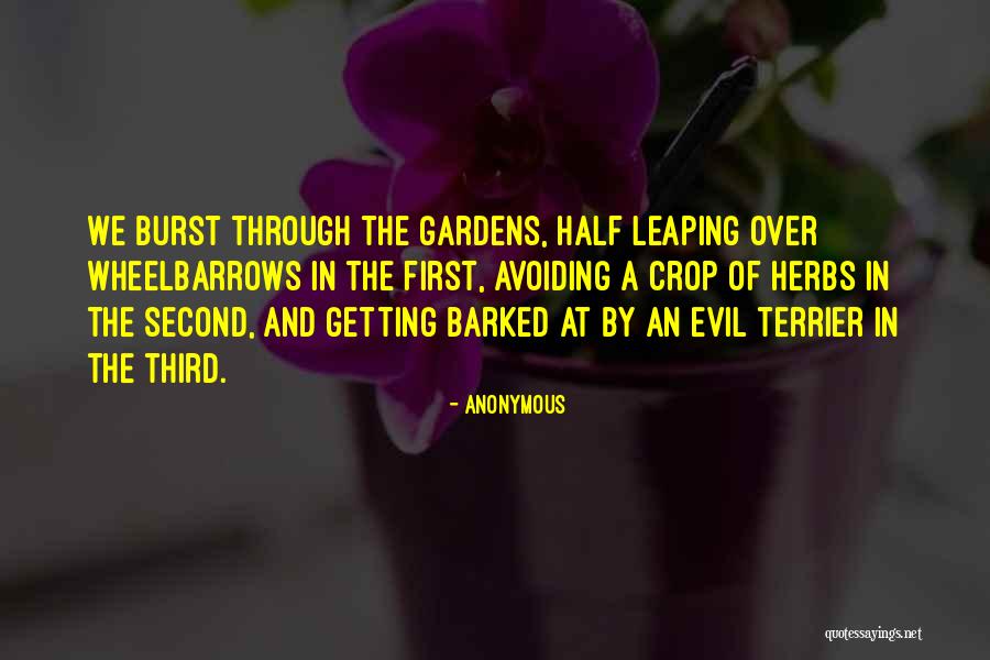 Third Half Quotes By Anonymous Third Half Quotes By Anonymous