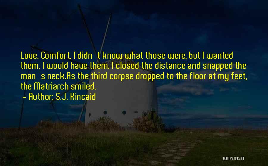 Third Love Quotes By S.J. Kincaid