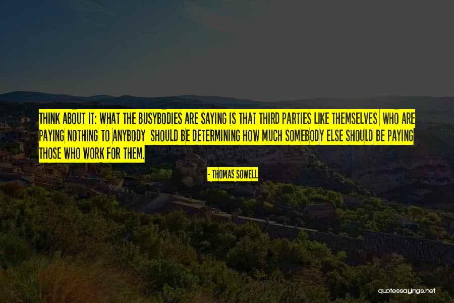 Third Parties Quotes By Thomas Sowell Third Parties Quotes By Thomas Sowell