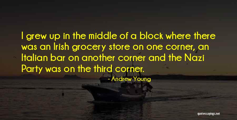 Third Party Quotes By Andrew Young Third Party Quotes By Andrew Young