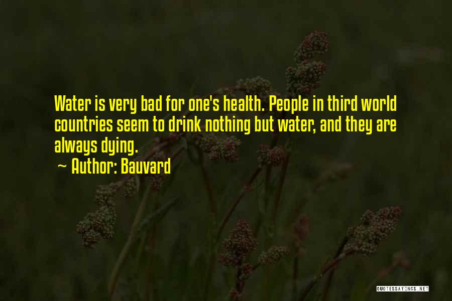 Third World Countries Quotes By Bauvard