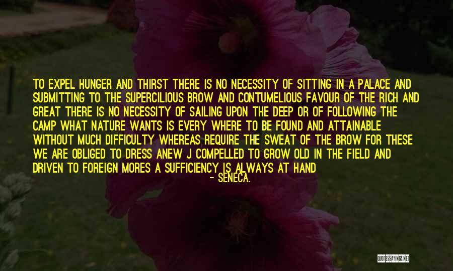 Thirst No.1 Quotes By Seneca. Thirst No.1 Quotes By Seneca.