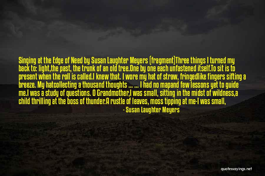 Thirst No.1 Quotes By Susan Laughter Meyers