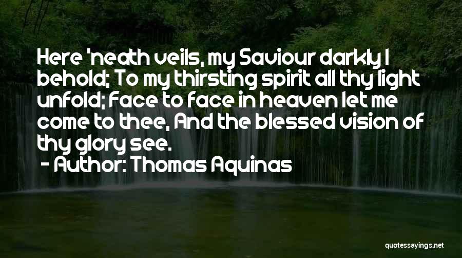 Thirsting Quotes By Thomas Aquinas