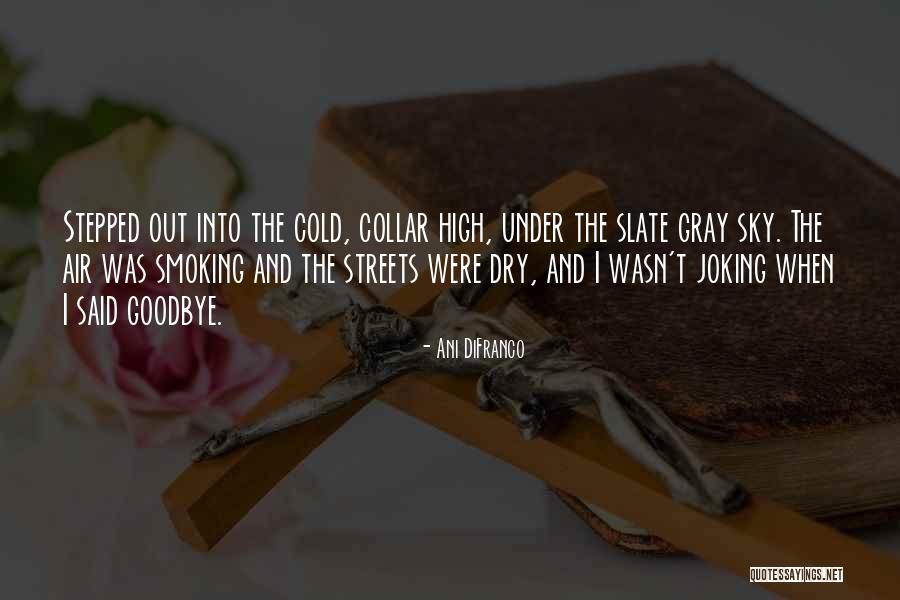 Thirteen 2003 Quotes By Ani DiFranco Thirteen 2003 Quotes By Ani DiFranco