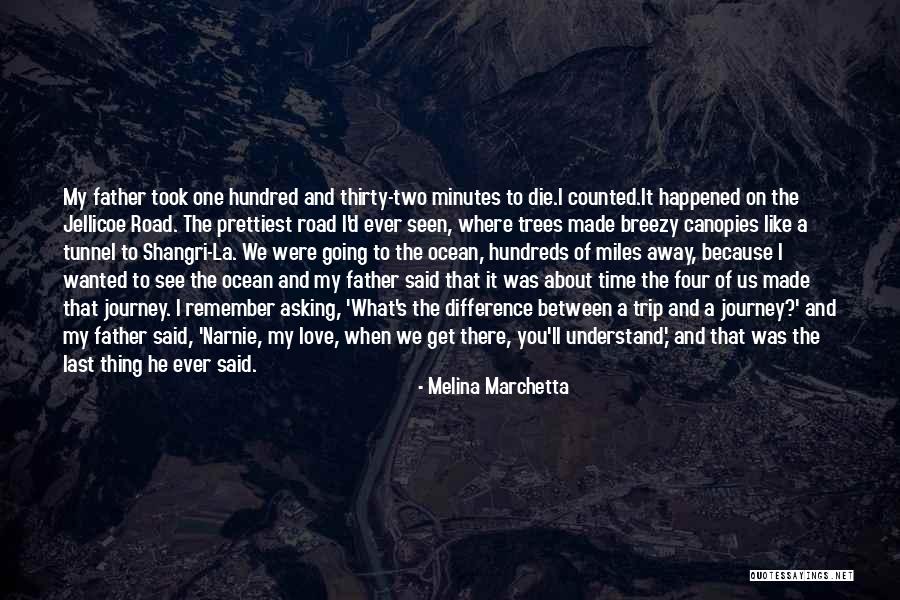 Thirty Minutes Quotes By Melina Marchetta