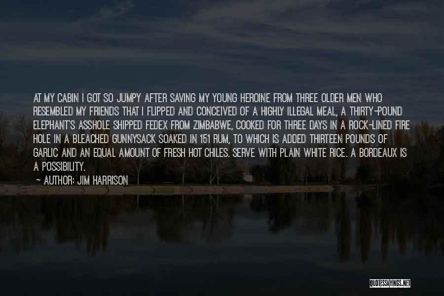 Thirty Rock Quotes By Jim Harrison