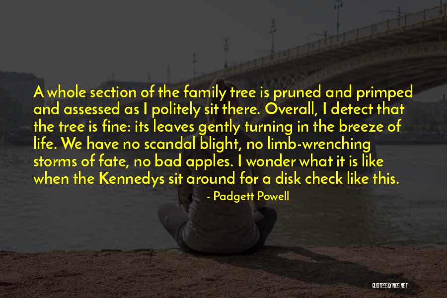 This Bad Life Quotes By Padgett Powell This Bad Life Quotes By Padgett Powell