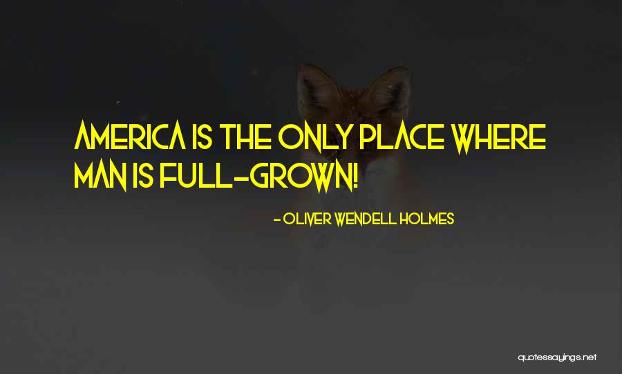 This Bridge We Call Home Quotes By Oliver Wendell Holmes This Bridge We Call Home Quotes By Oliver Wendell Holmes