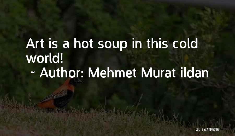 This Cold World Quotes By Mehmet Murat Ildan