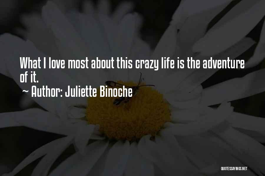 This Crazy Life Quotes By Juliette Binoche