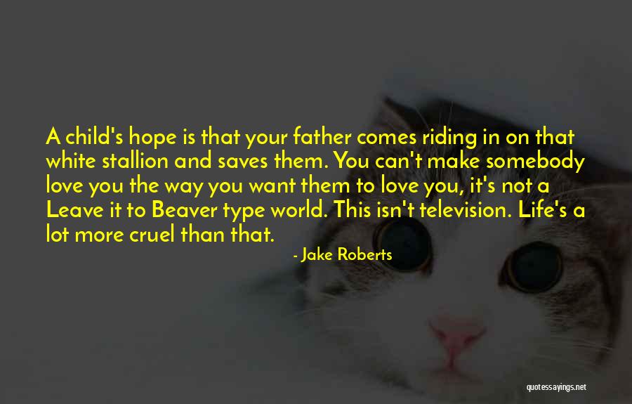 This Cruel World Quotes By Jake Roberts