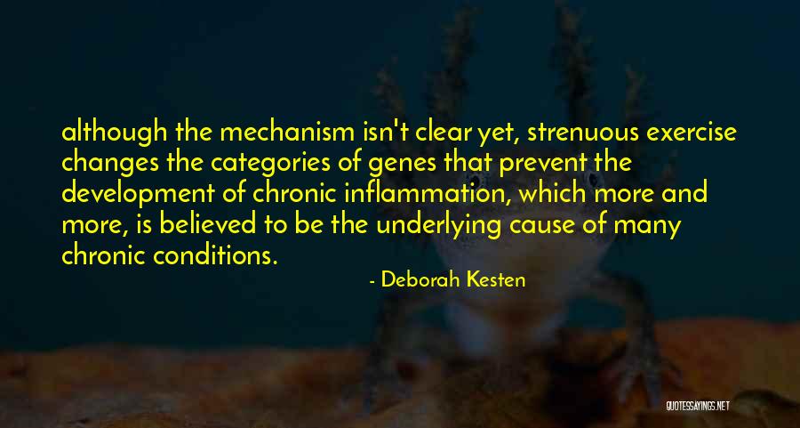 This Exercise Conditions Quotes By Deborah Kesten This Exercise Conditions Quotes By Deborah Kesten
