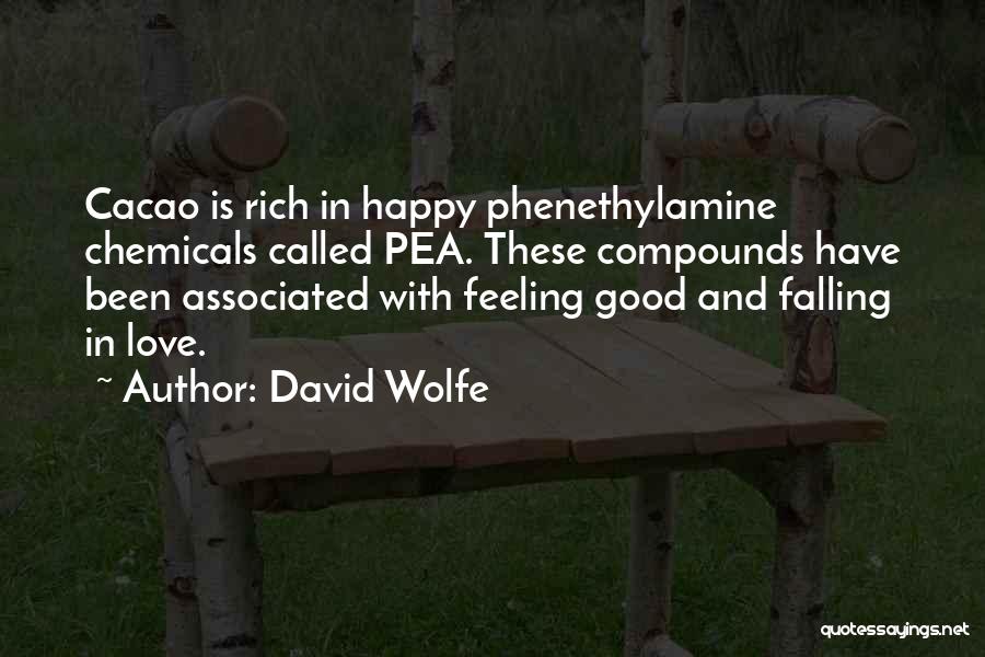 This Feeling Called Love Quotes By David Wolfe