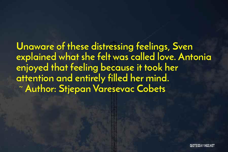 This Feeling Called Love Quotes By Stjepan Varesevac Cobets