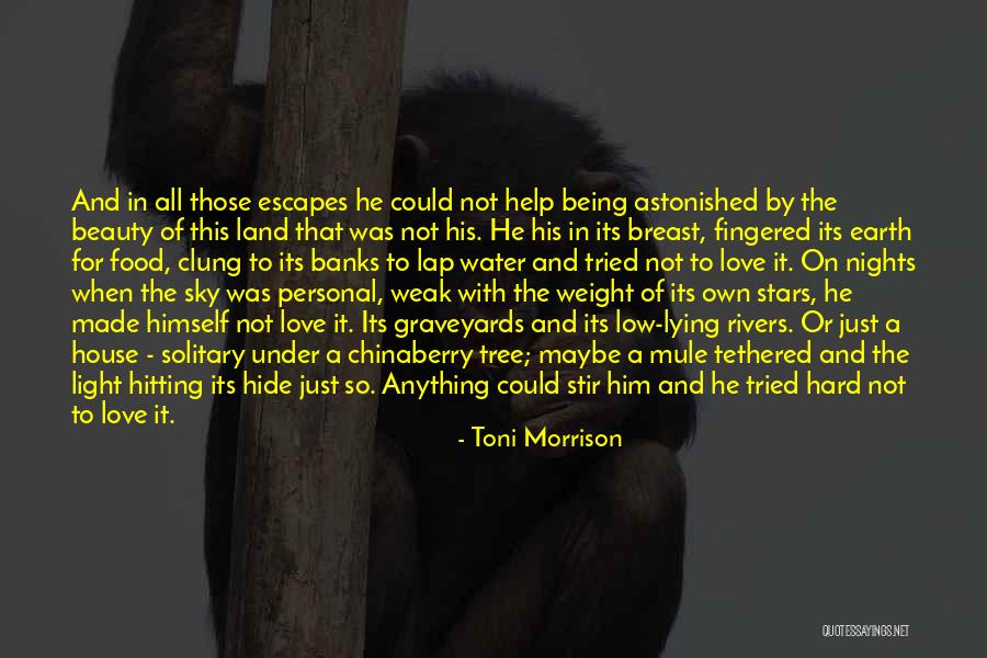 This House Of Sky Quotes By Toni Morrison This House Of Sky Quotes By Toni Morrison