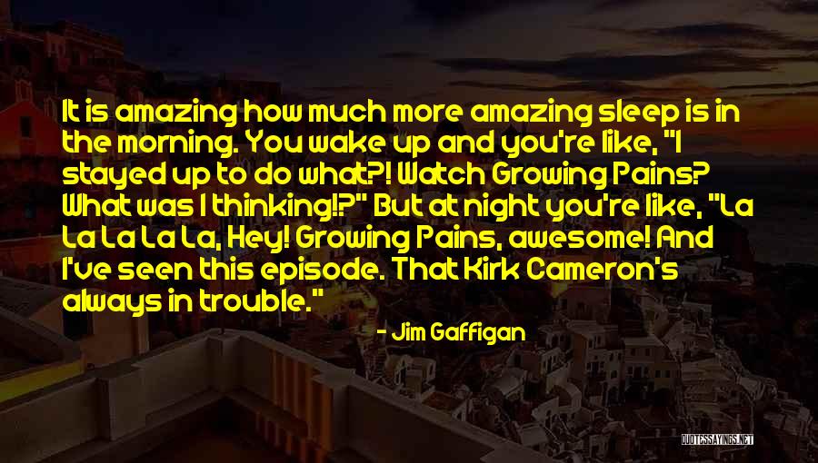 This Is Awesome Quotes By Jim Gaffigan