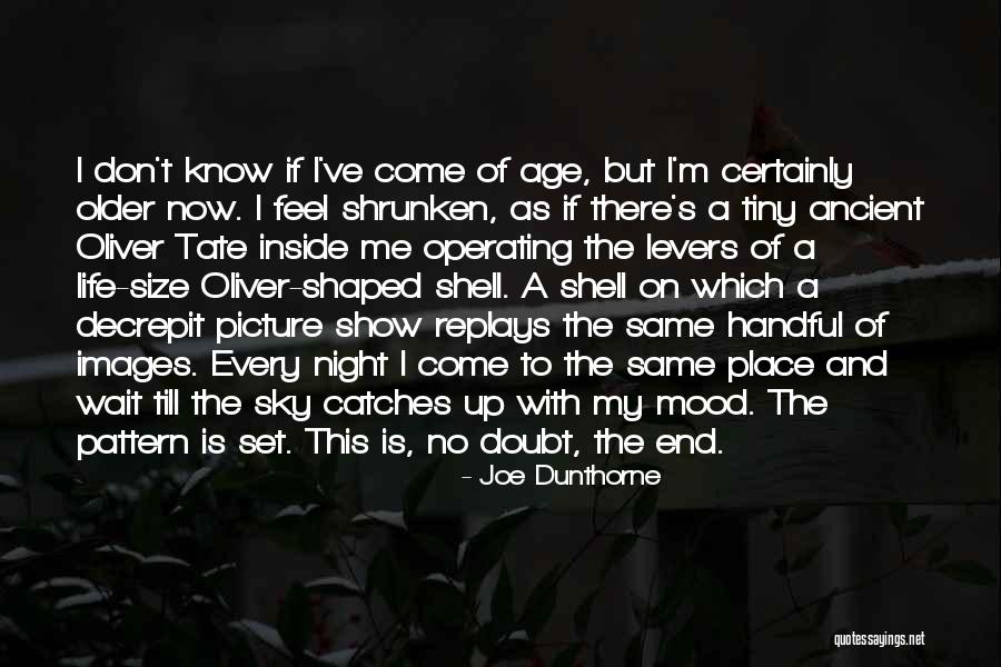 This Is Me Picture Quotes By Joe Dunthorne