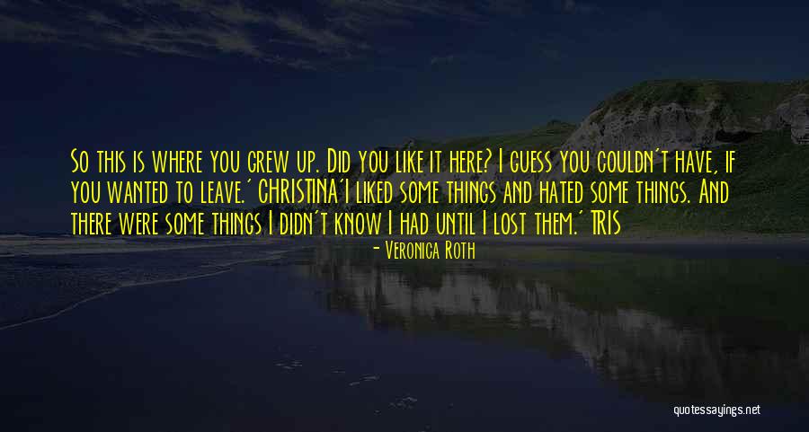 This Is Where I Leave You Quotes By Veronica Roth