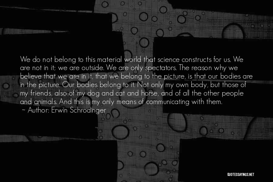 This Is Why We're Friends Quotes By Erwin Schrodinger