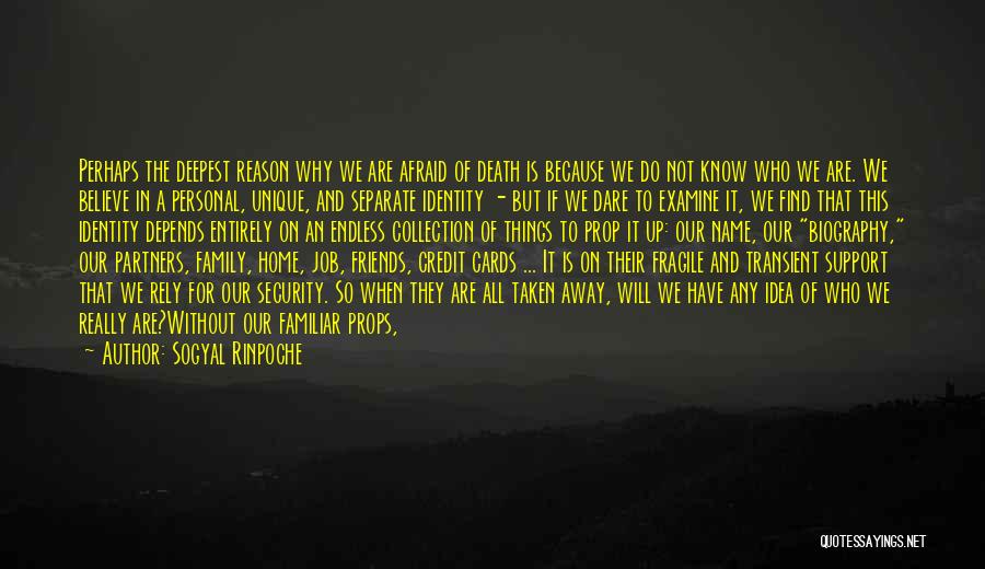 This Is Why We're Friends Quotes By Sogyal Rinpoche This Is Why We're Friends Quotes By Sogyal Rinpoche