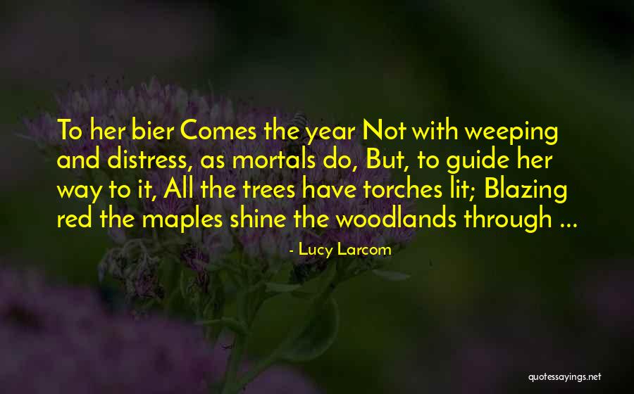 This Is Your Year To Shine Quotes By Lucy Larcom This Is Your Year To Shine Quotes By Lucy Larcom