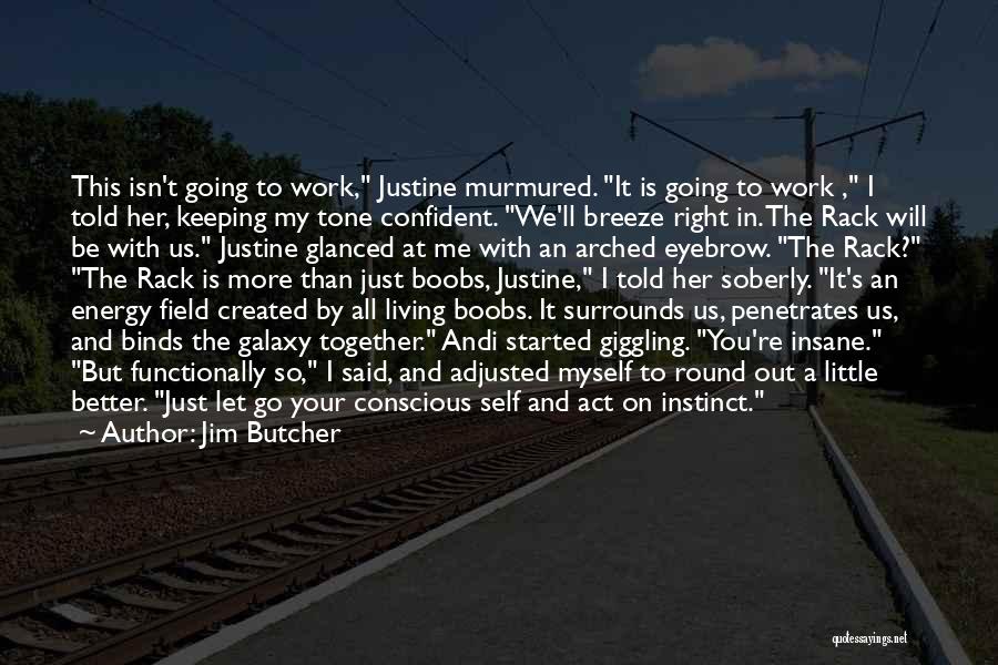 This Isn't Going To Work Quotes By Jim Butcher